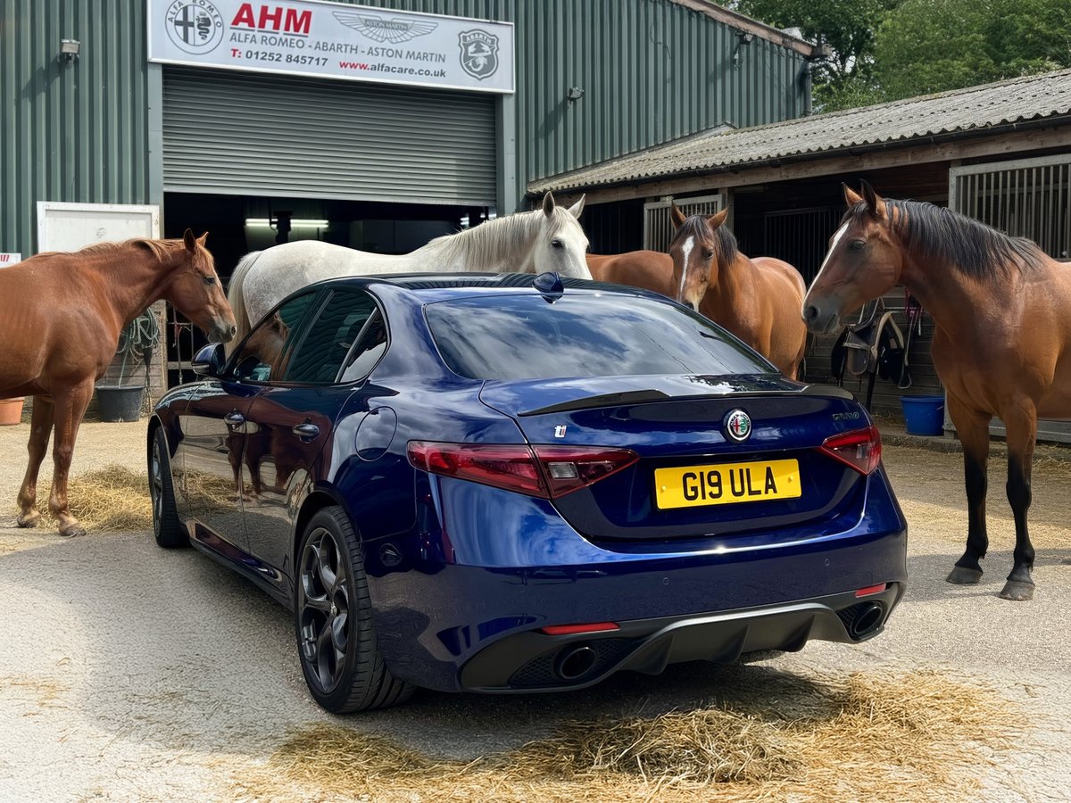 Saddle up! My #AlfaRomeo Giulia now has more horses under the hood… Remap (and annual service) courtesy of AHM in Hants.