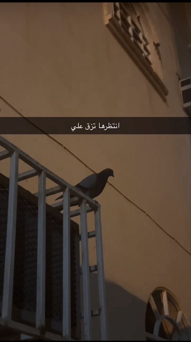 S (@3s_ma7) on Twitter photo 