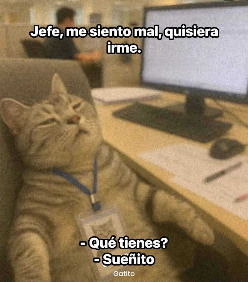 Pero si acabas de llegar Ana Cecilia!
