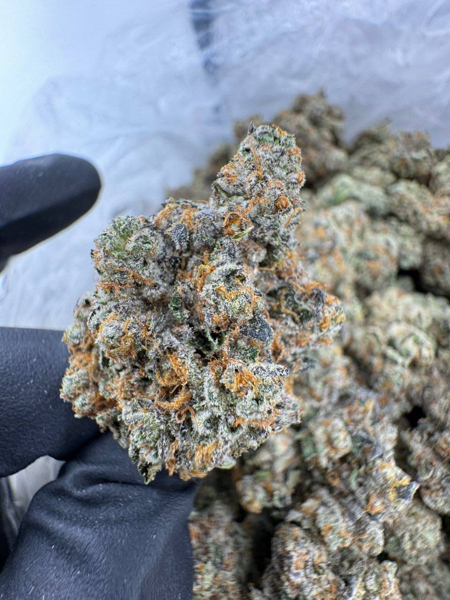 codeinhigh0's tweet image. This shit is 🔥🔥🔥