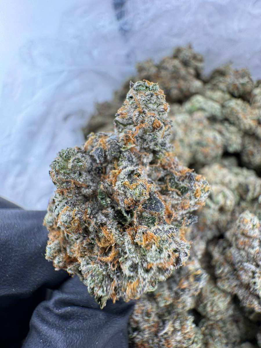 codeinhigh0's tweet image. This shit is 🔥🔥🔥