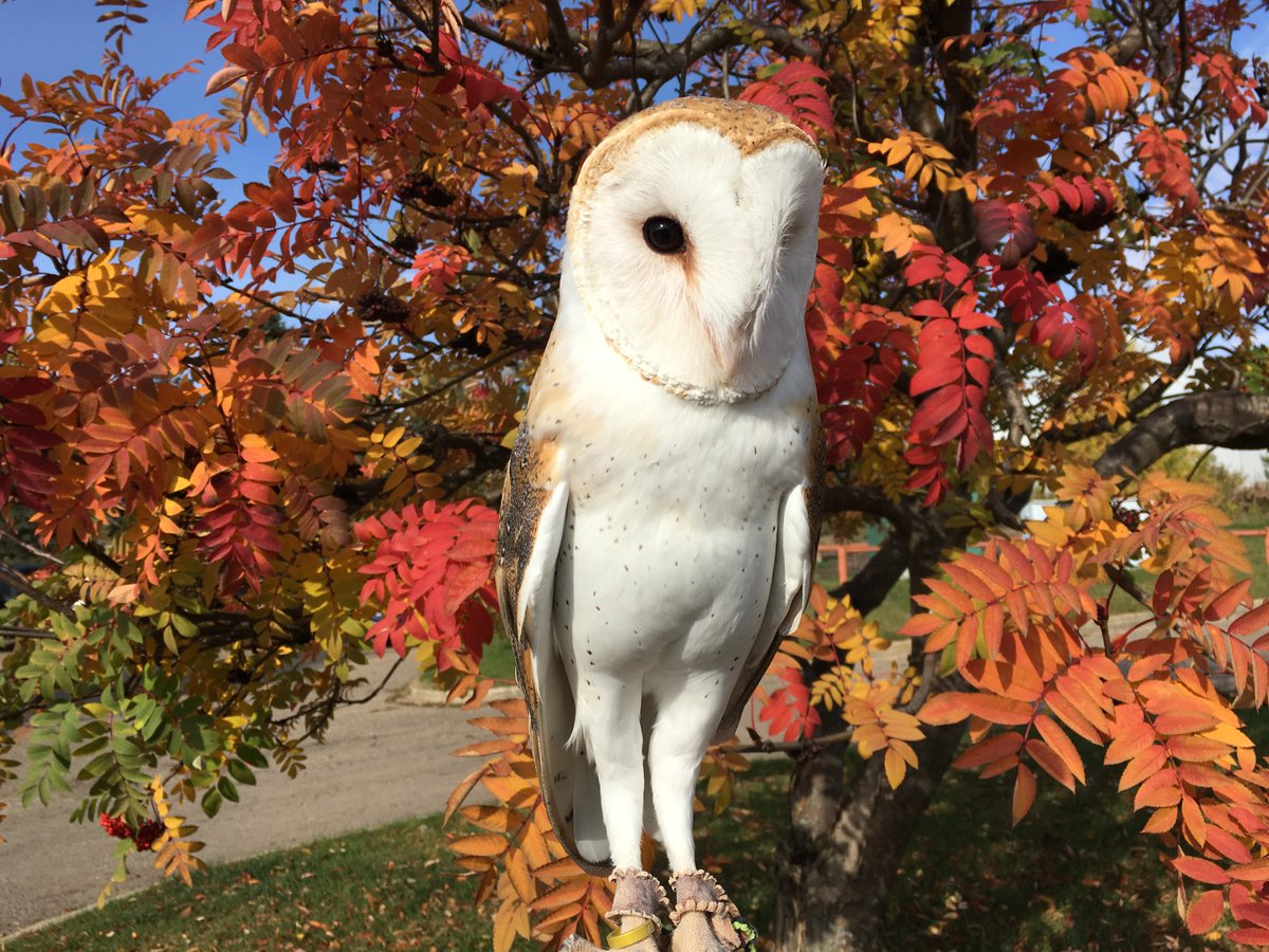 The Valley Zoo Development Society tweet media