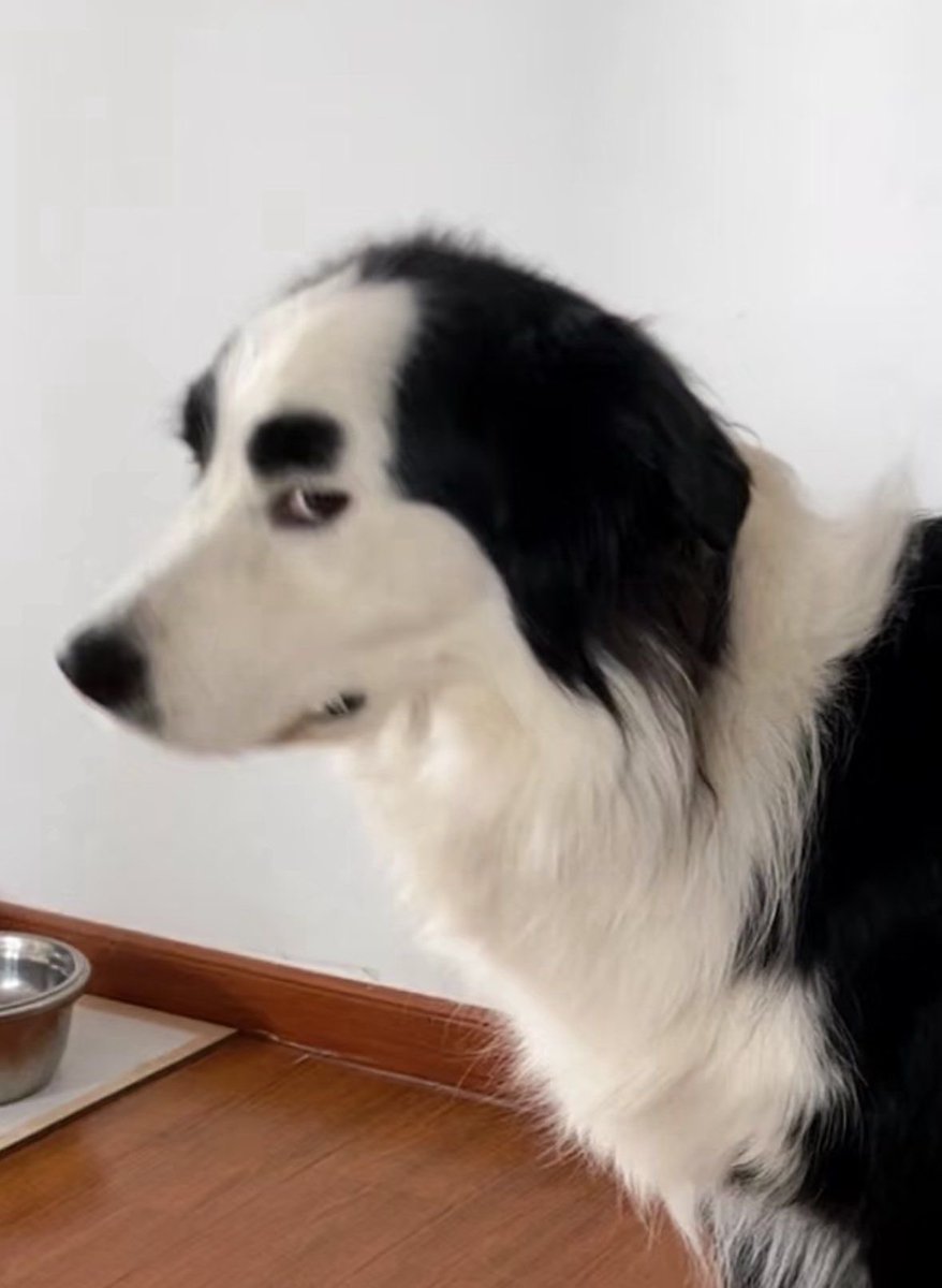 What would you name him ?