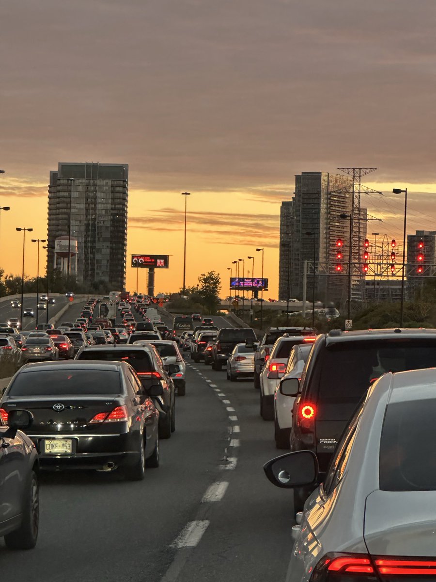 My list of betrayals: 
The Gardener #Toronto