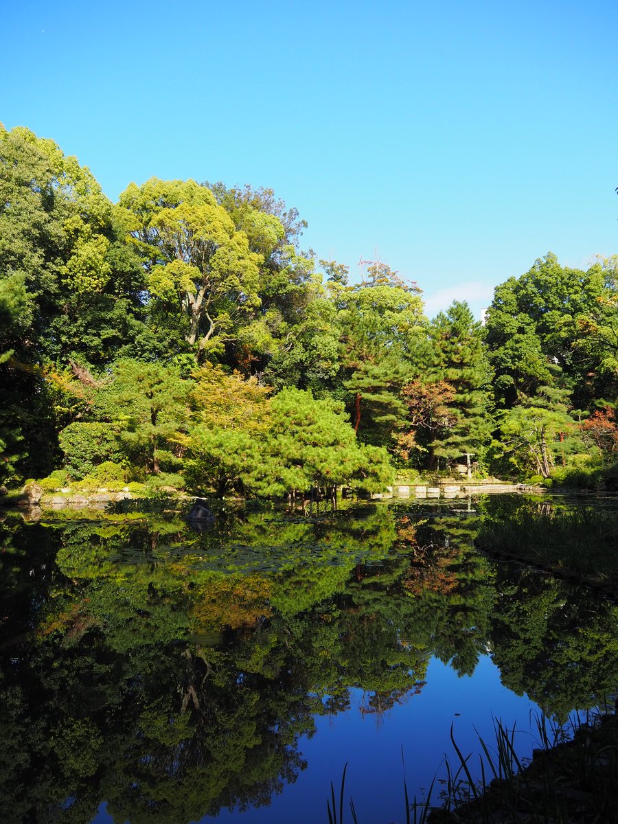 #photography #SnapShot
#k_park9photo #京都 #平安神宮