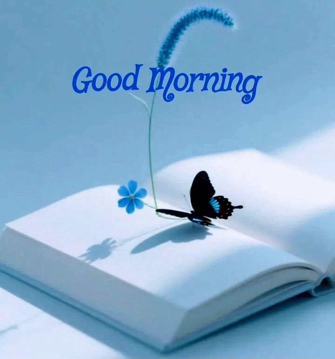 Өнөөдрийн ажилд нь амжилт шүү☘️