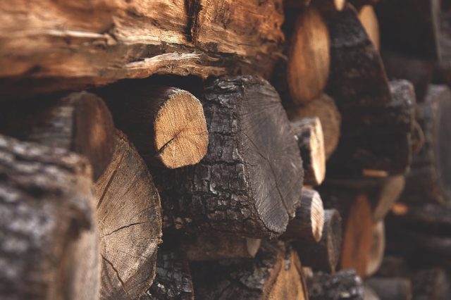Keep firewood local: Help stop the spread of invasive pests 

Full #NewsRelease in English and Español at nmdeptag.nmsu.edu/new-release/20….