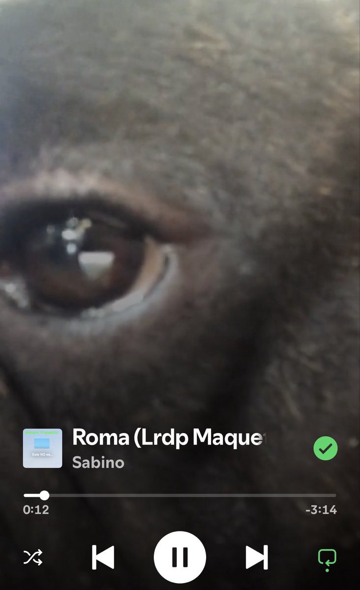 Erick Murguía tweet media