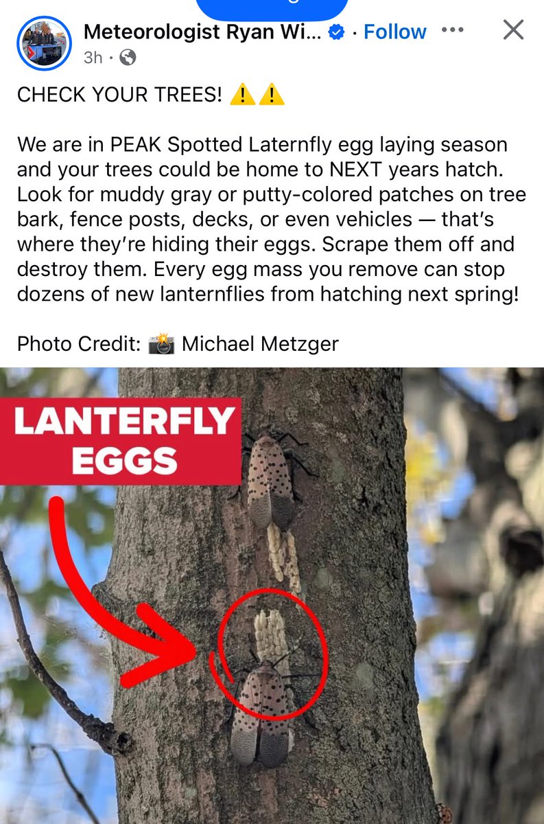 Chris Cunningham (@bgrunningham) on Twitter photo 