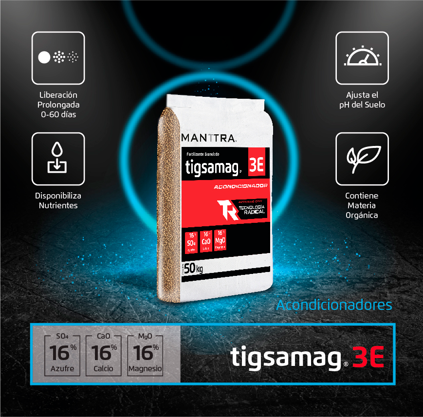 Conoce los beneficios de nuestro acondicionador Tigsamag 3E.
🌱Liberación prolongada 0-60 días
🌱Ajusta el pH del suelo
🌱Disponibiliza nutrientes
🌱Contiene materia orgánica

#fertilizantes #agricultores  #agroindustria #agro #fertilizante #agronomos #cultivos #agricultores