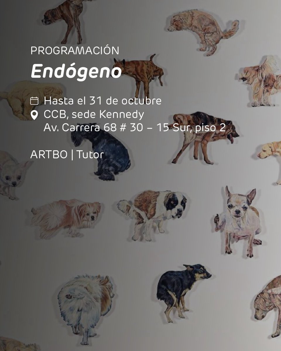 programaARTBO's tweet image. Agéndate y participa en la programación de 𝘌𝘯𝘥𝘰́𝘨𝘦𝘯𝘰, exposición de ARTBO | Tutor curada por Juan Mejía, que reúne obras donde lo natural, lo doméstico y lo urbano se entrelazan para explorar los vínculos entre arte, cuerpo y entorno.
Durante octubre podrás participar en…