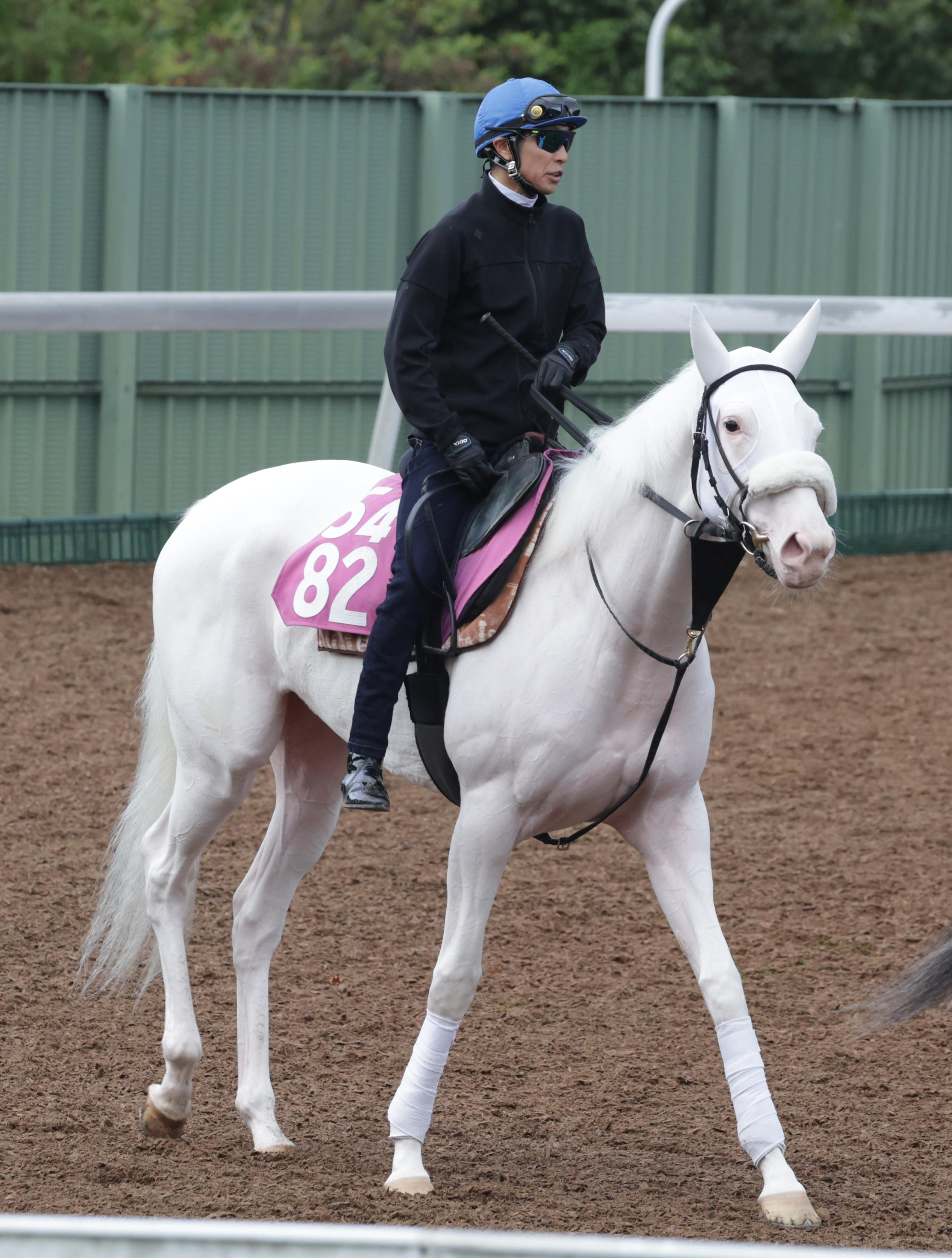 とろ🐴 (@torotorotoro67) / X