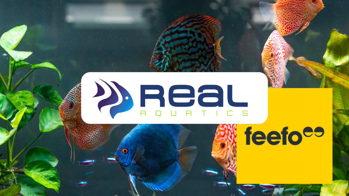 Real Aquatics social media banner published October 2025! Theme: Discus fish.

#RealAquatics #Socials #Banners #Cichlids #DiscusFish #ColourfulFish #CichlidCommunity #CichlidLovers #AquariumLife #FishKeeping #Aquascaping #TropicalFish #DiscusLovers #AquaticHobby #FishTankSetup