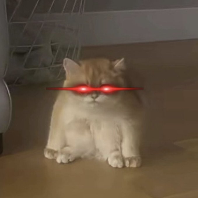 Zyprin (@zyprinfx) on Twitter photo 