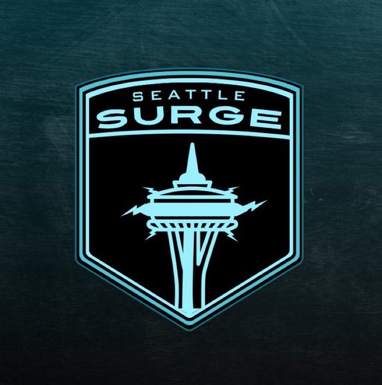 Like This Post To Help The Seattle Surge Advance To The National Conference Championship Game! ⚡️