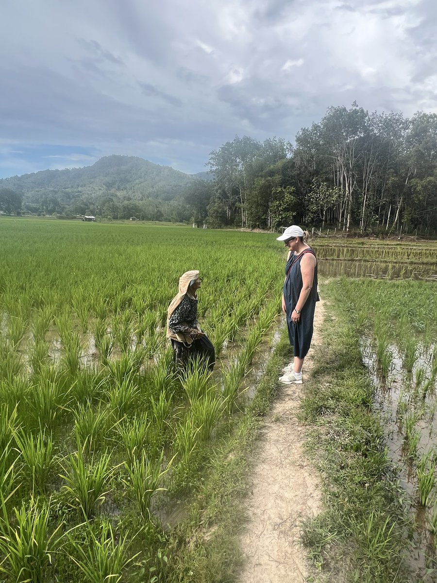 Julia Hausler tweet media