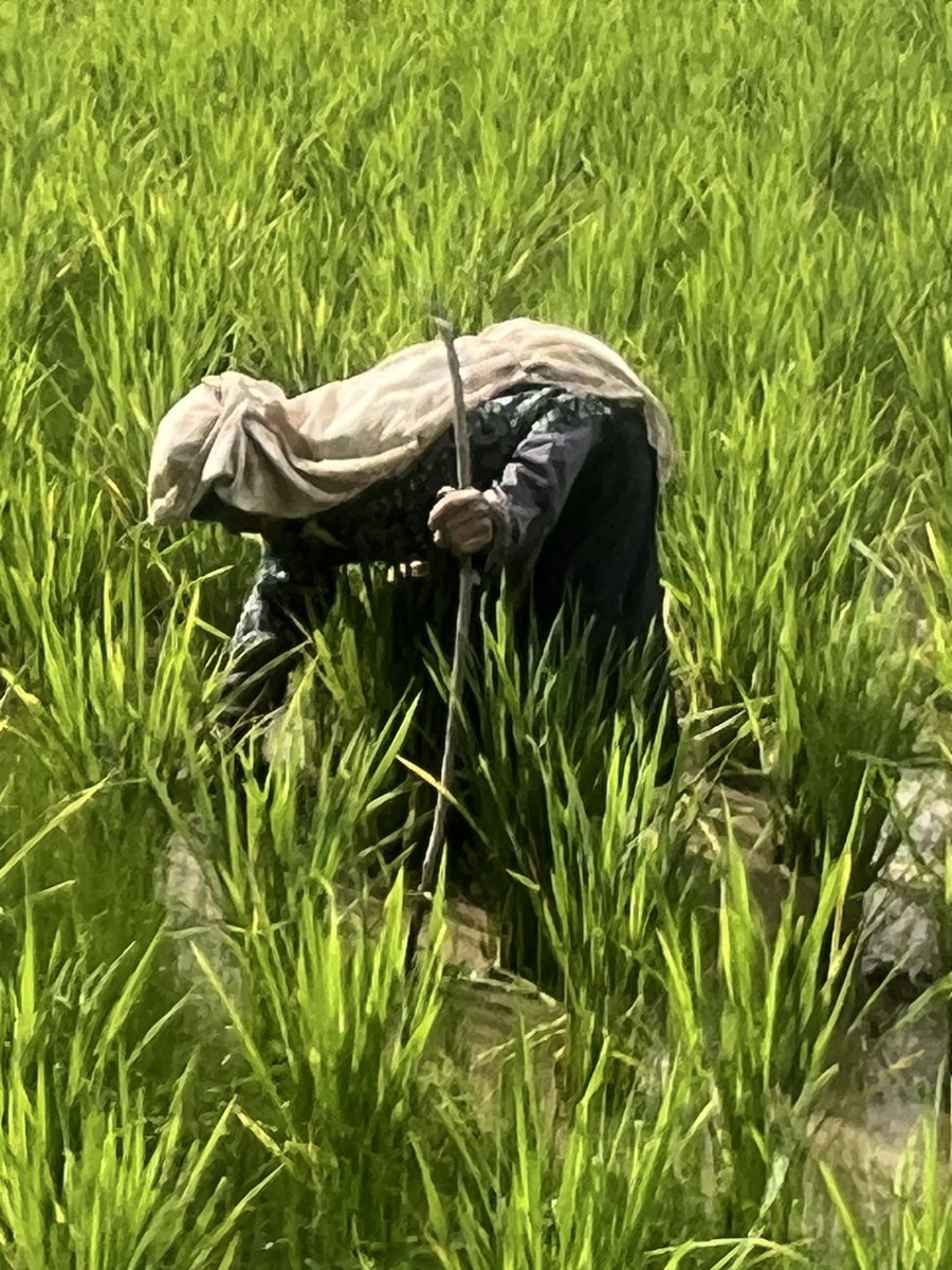 Julia Hausler tweet media