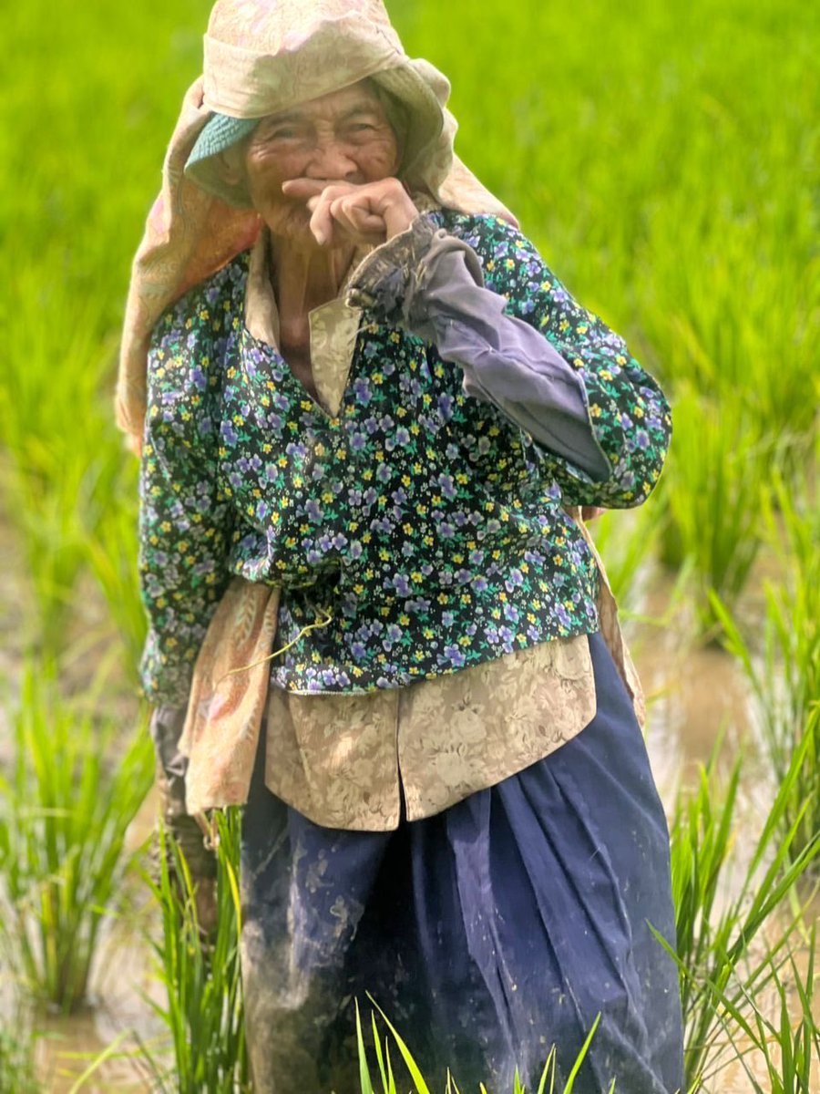 Julia Hausler tweet media