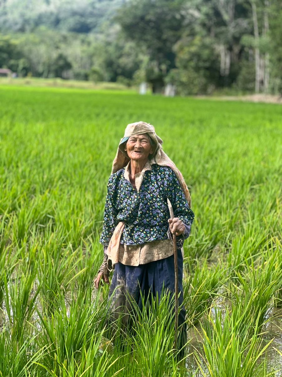 Julia Hausler tweet media