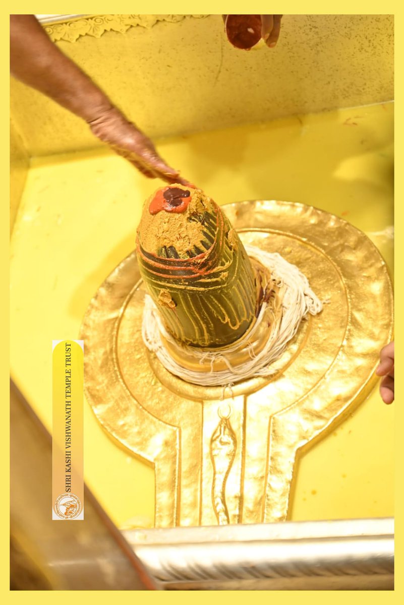 ShriVishwanath's tweet image. श्री काशी विश्वनाथ जी की सप्तऋषि आरती I
#kashivishwanath #kashi #sanatandharma #banaras