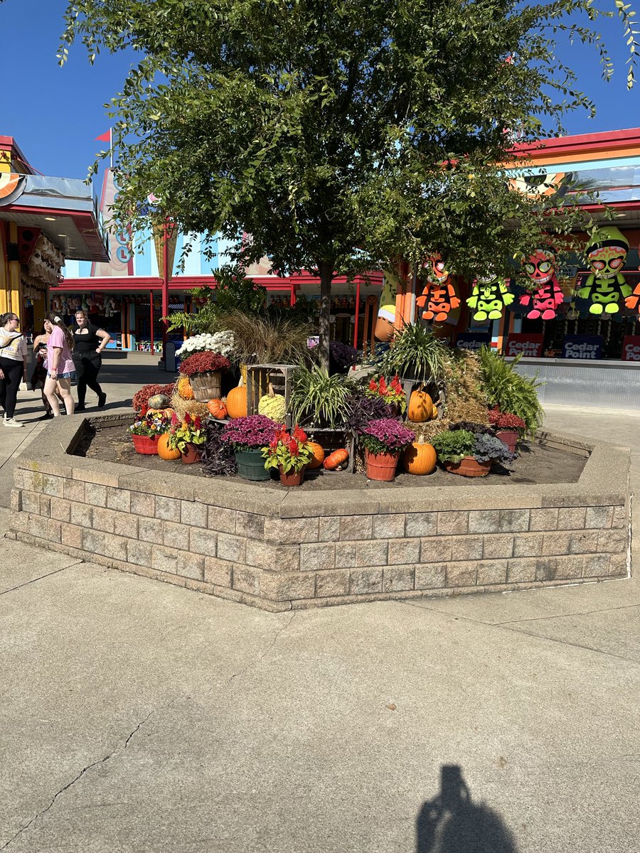 MagallonShannon's tweet photo. @cedarpoint They do an amazing job! I Look forward to seeing it every year! The fall foliage set ups are always gorgeous too! https://t.co/do1qUAr90v