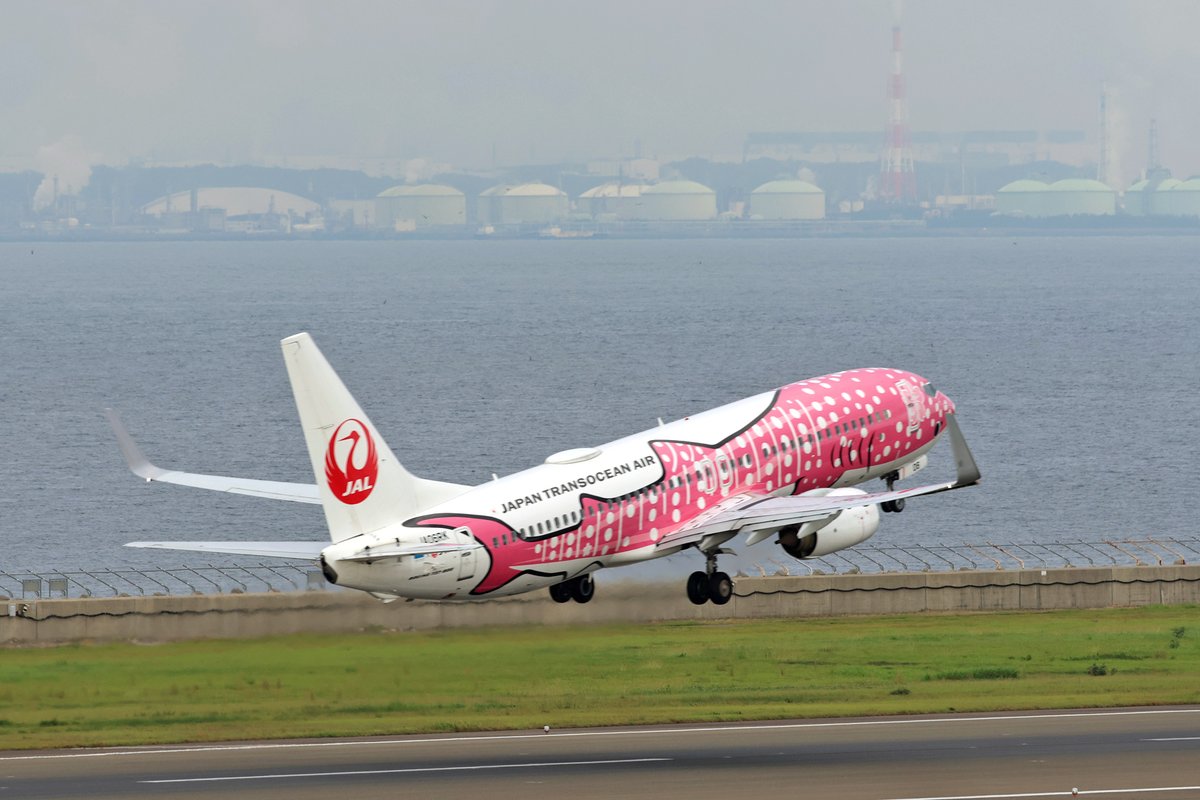 今朝はセントレアで特別塗装機に出会えました。万博ジェットはもうすぐ