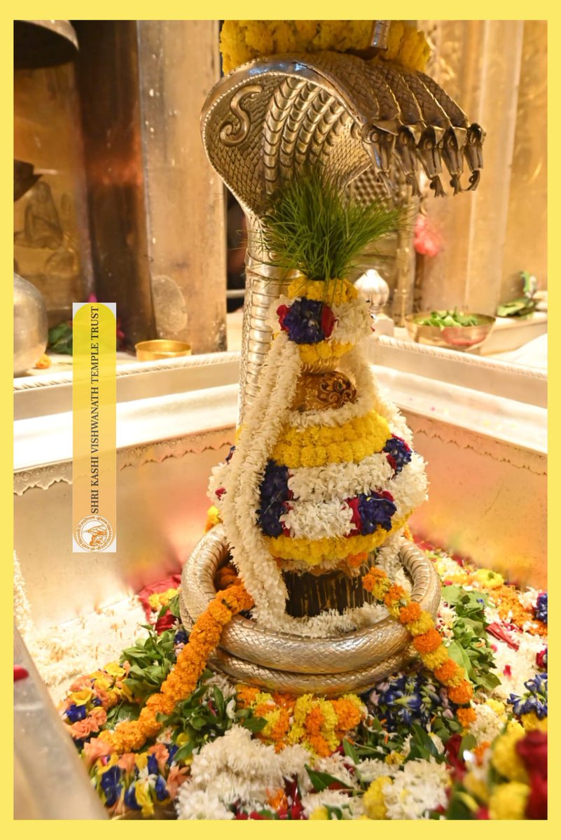 ShriVishwanath's tweet image. श्री काशी विश्वनाथ जी की श्रृंगार आरती I
#kashivishwanath #kashi #sanatandharma #banaras