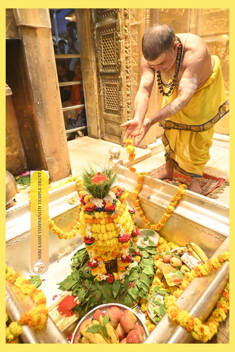 ShriVishwanath's tweet image. आज श्री काशी विश्वनाथ जी की मंगला आरती I
#kashivishwanath #kashi #sanatandharma #banaras