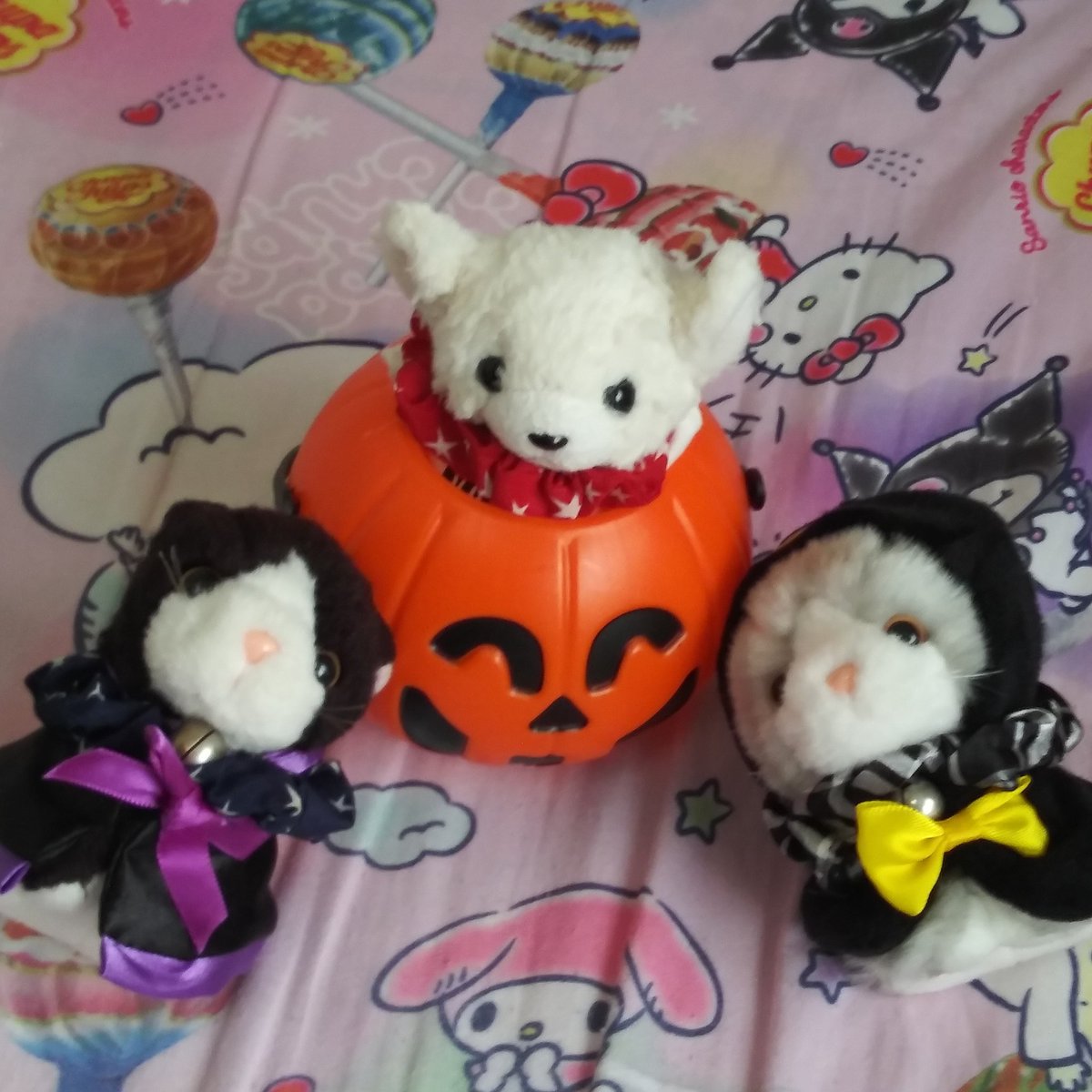 KA07508460's tweet photo. #新しいプロフィール画像 https://t.co/1HN1opSqbD