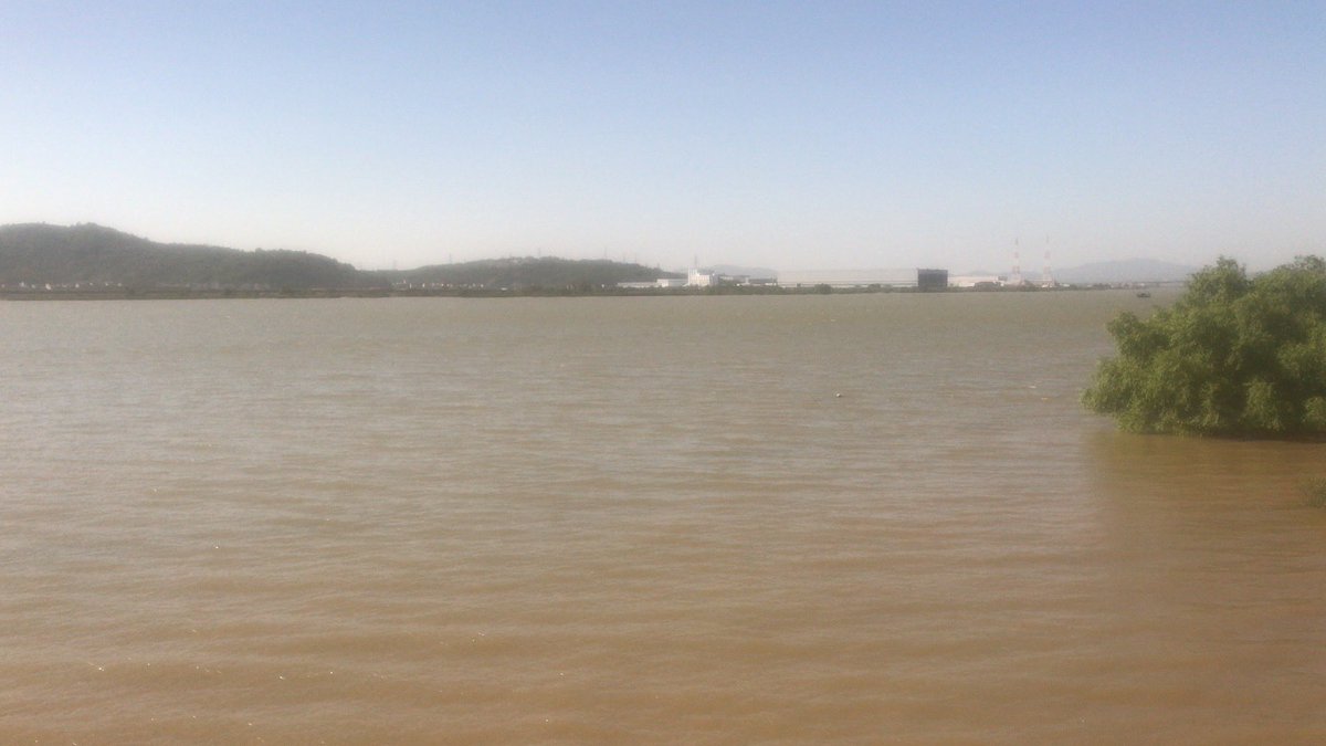 Linjun866's tweet image. 看了一遍圈子，市场低迷啊……还是钓钓鱼吧