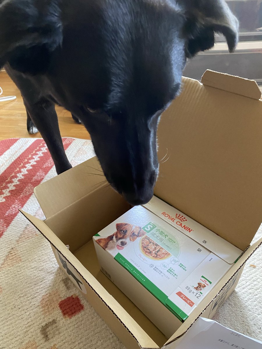 ♥️⸜(*ˊᵕˋ*)⸝‬♥️様。専用　　ロイヤルカナン ロイヤルカナン インドア 7+ 1.5kg（7歳～12歳まで） Pets-first