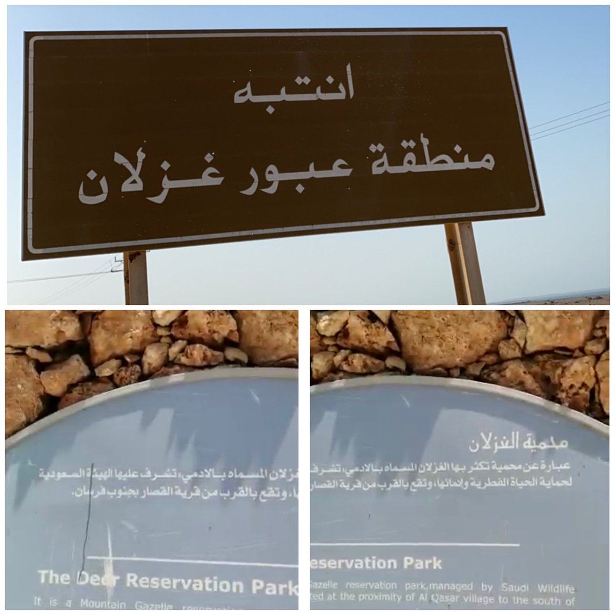 لوحة في وطني 🇸🇦