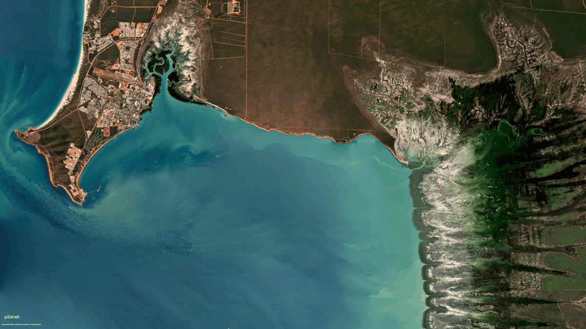 ngis_australia's tweet image. #ImageoftheWeek 🛰️Roebuck Bay, near #Broome in Western Australia is a significant bird migration hotspot, particularly for shorebirds and waders. 

📸 Image source: Planet Labs PBC