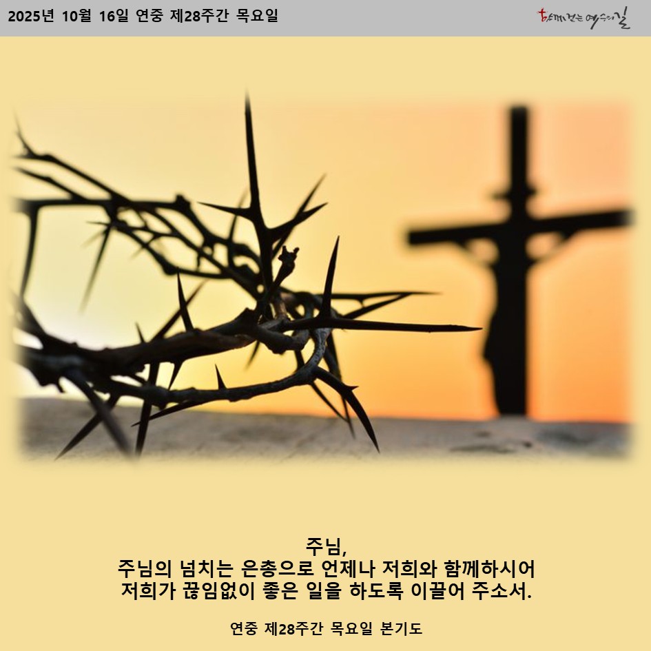 바람이부는대로 (@veritas4u) on Twitter photo 