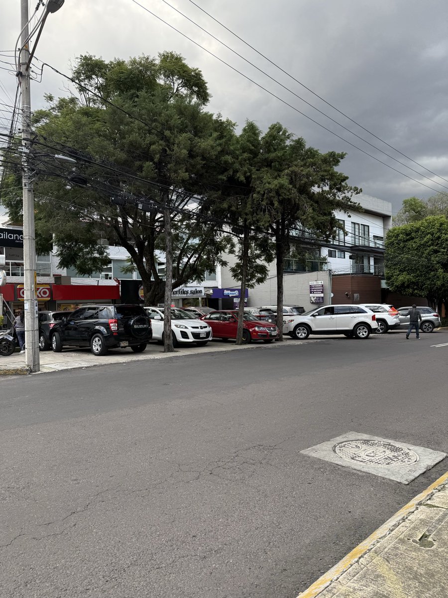 Carla Rendón tweet media