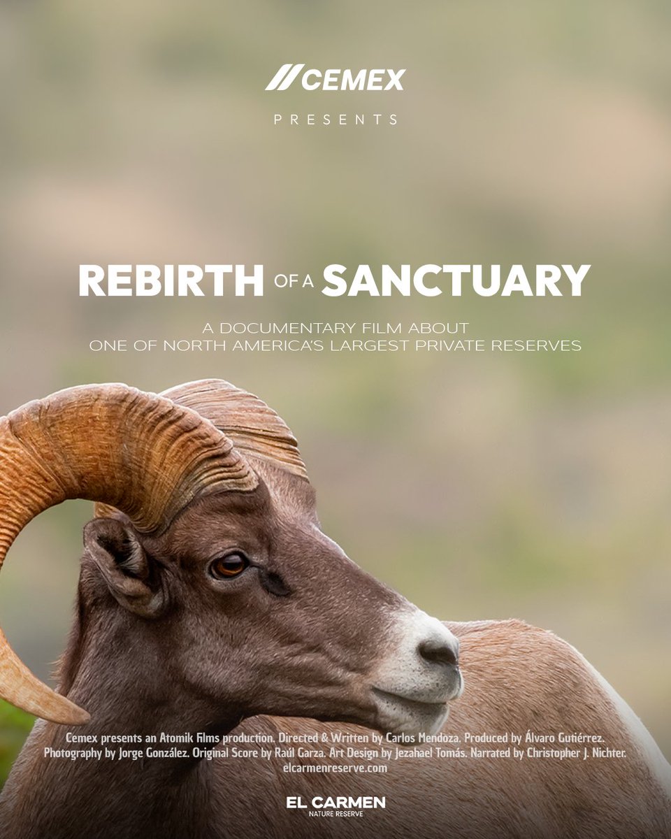 Cemex Global tweet media