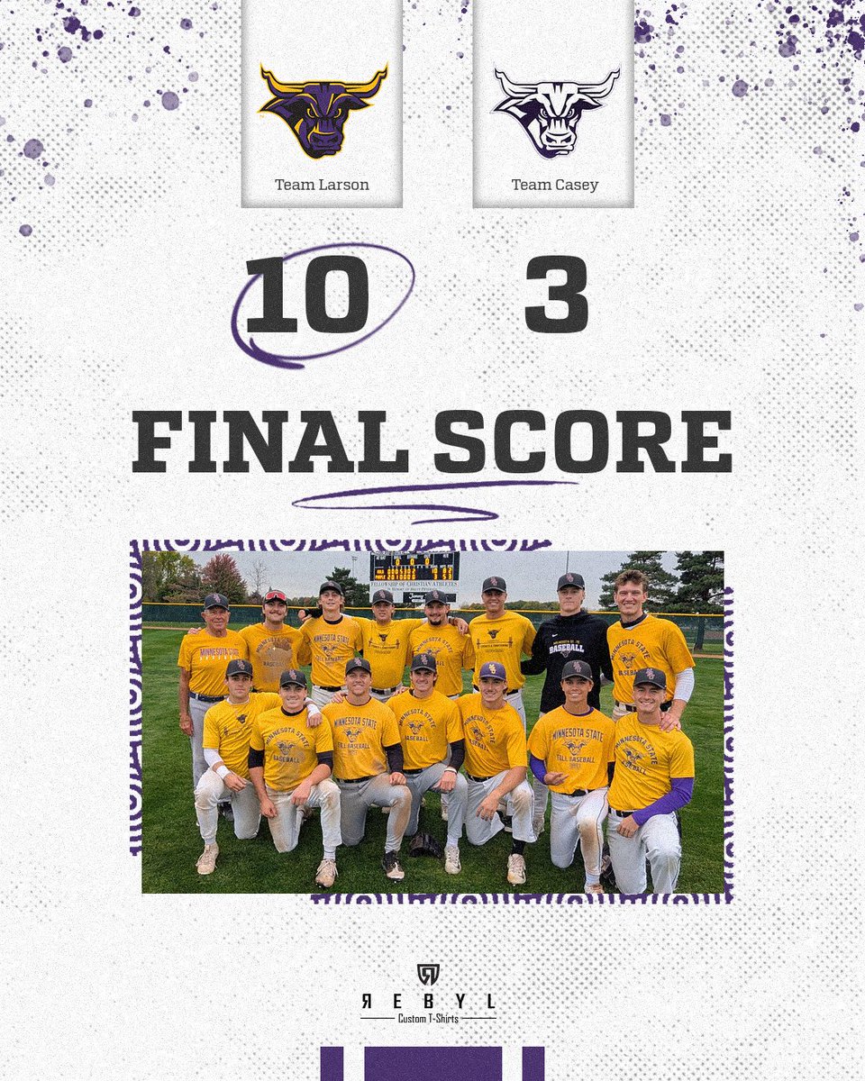 Minn State Baseball tweet media