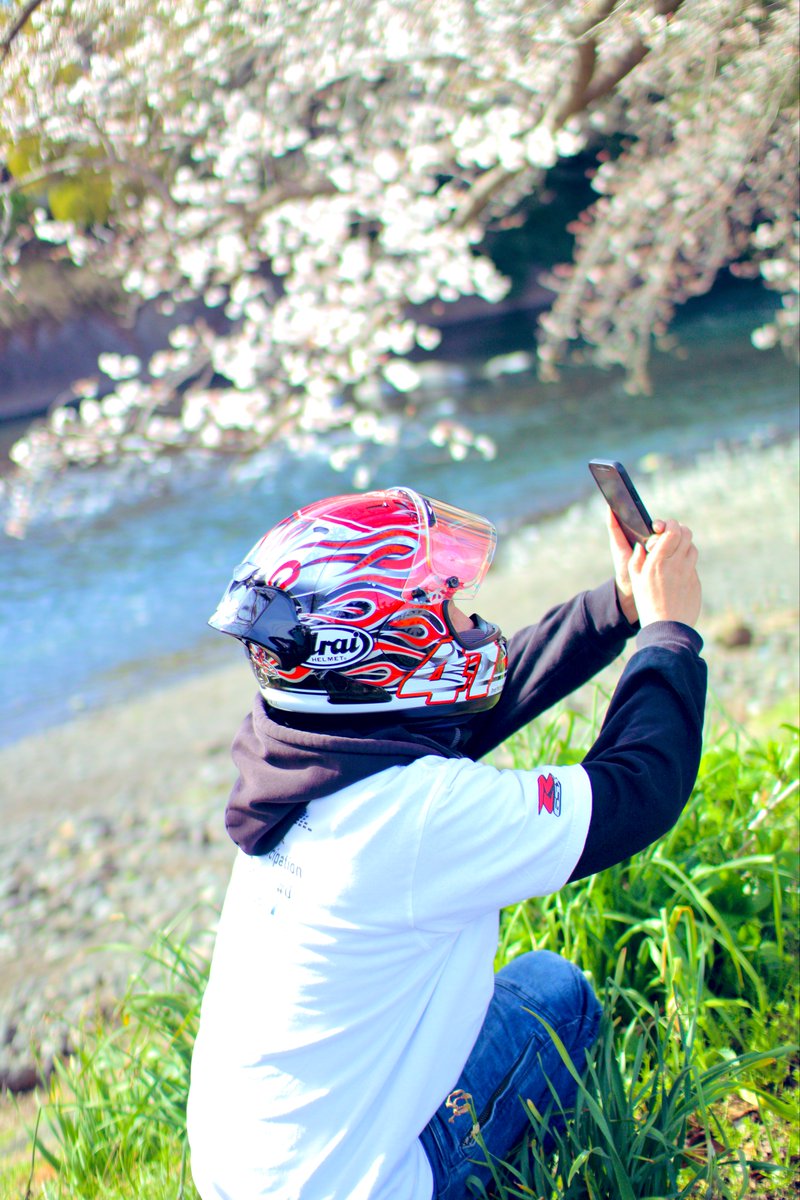 ❁はな Nissan 24813CD000 for sale online | eBay