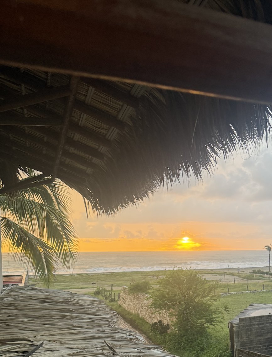 Sarah Carusona tweet media