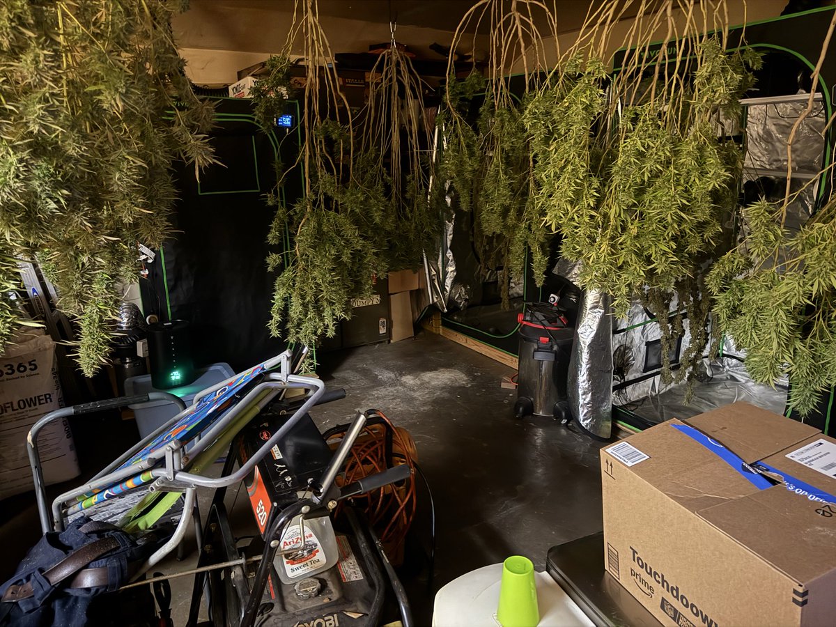CptnNugz's tweet image. All 11 down and hanging