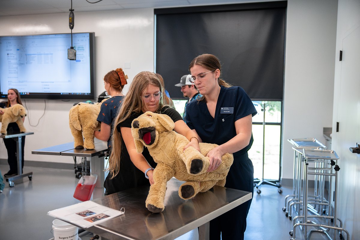 Dr. Audra Jones recently taught first-year veterinary students at VERO about safe canine handling. This helped students learn how to restrain canine patients in a stress-free manner for the following week’s physical exam lab with live patients. #TAMUVetMed

📷 Christian Guerrero