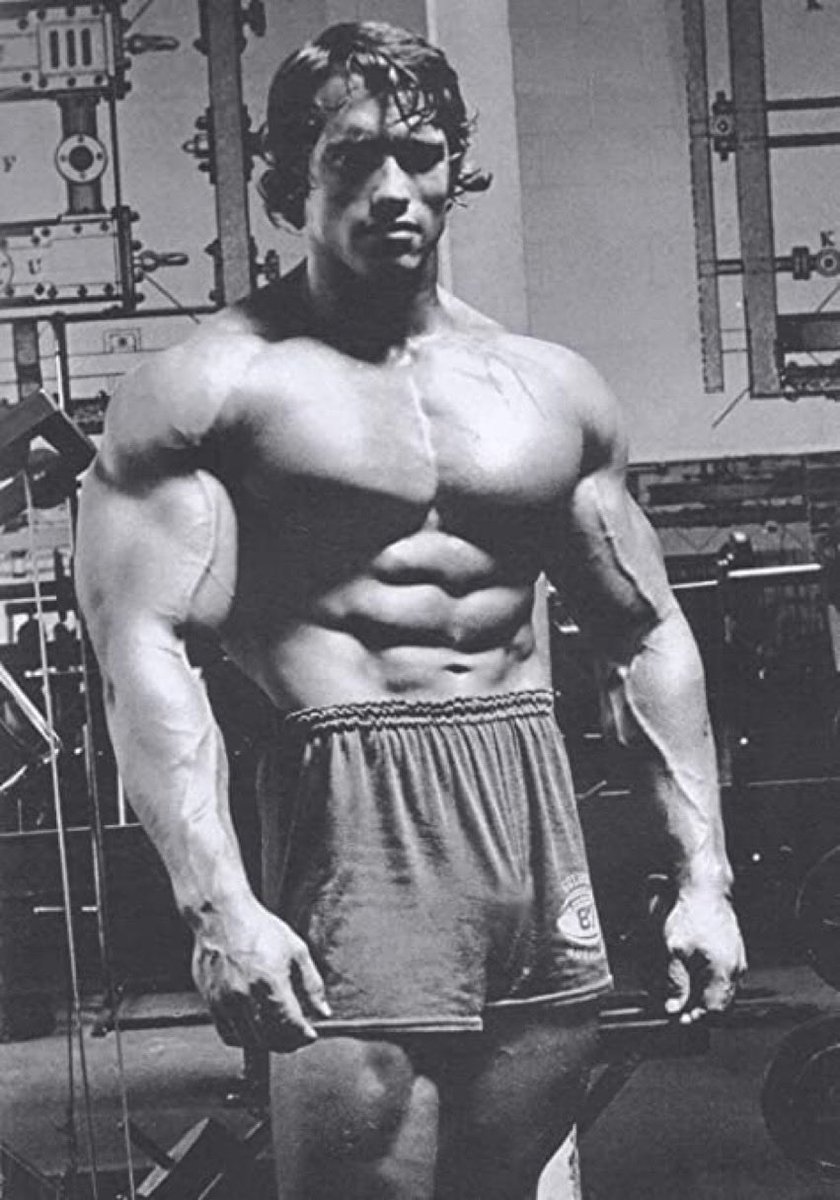 To create an aesthetic physique is to rebel against the decadence of the modern world.

You forge your body as a defiant symbol in a world that tells you being average is sufficient.