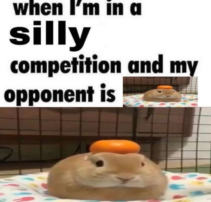 silly !