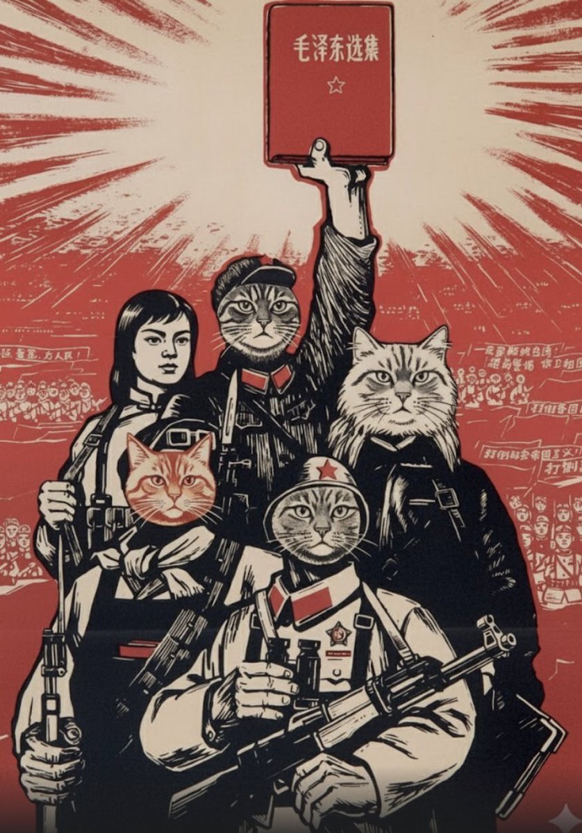 Chairman Meow tweet media