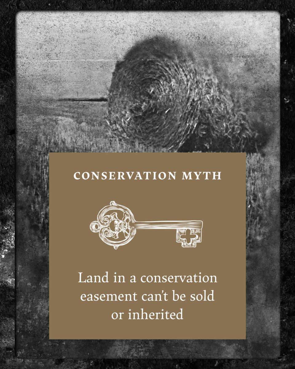 Three Rivers Land Trust tweet media