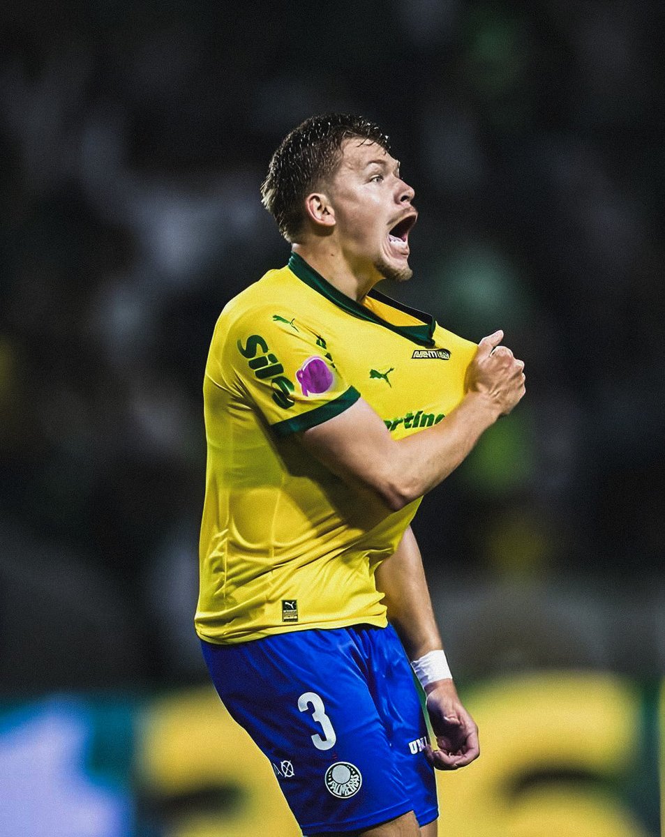 Bruno Fuchs é PALMEIRAS.