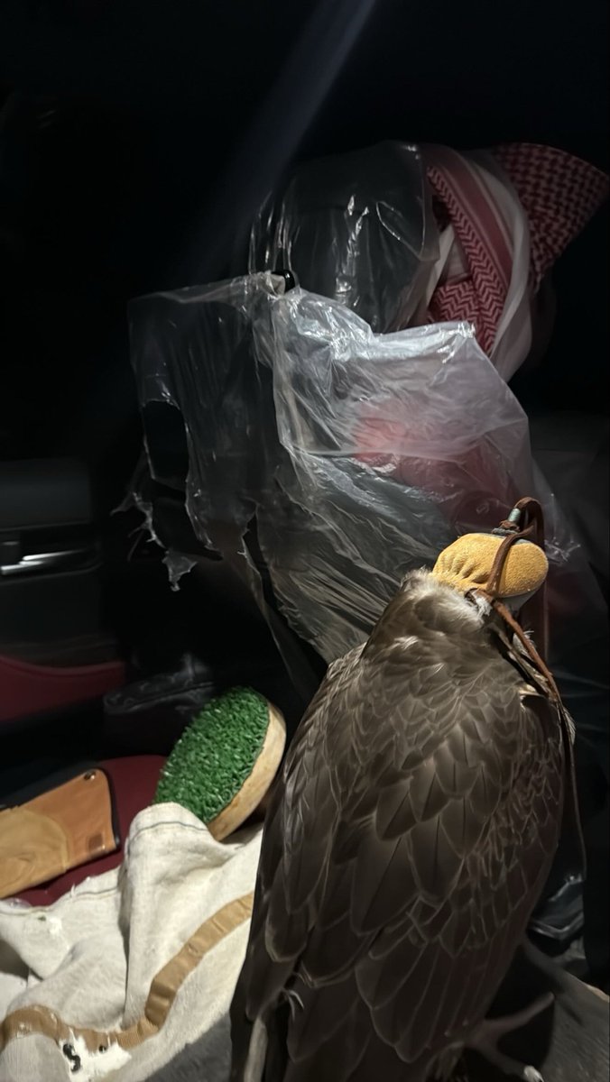 سرية ومسرى ومراويح ✈️