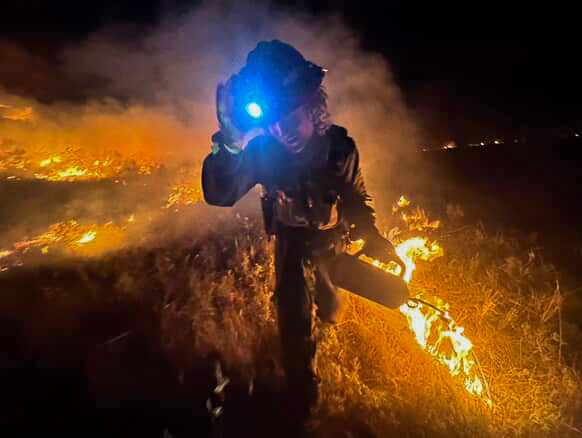 Grayback Forestry tweet media