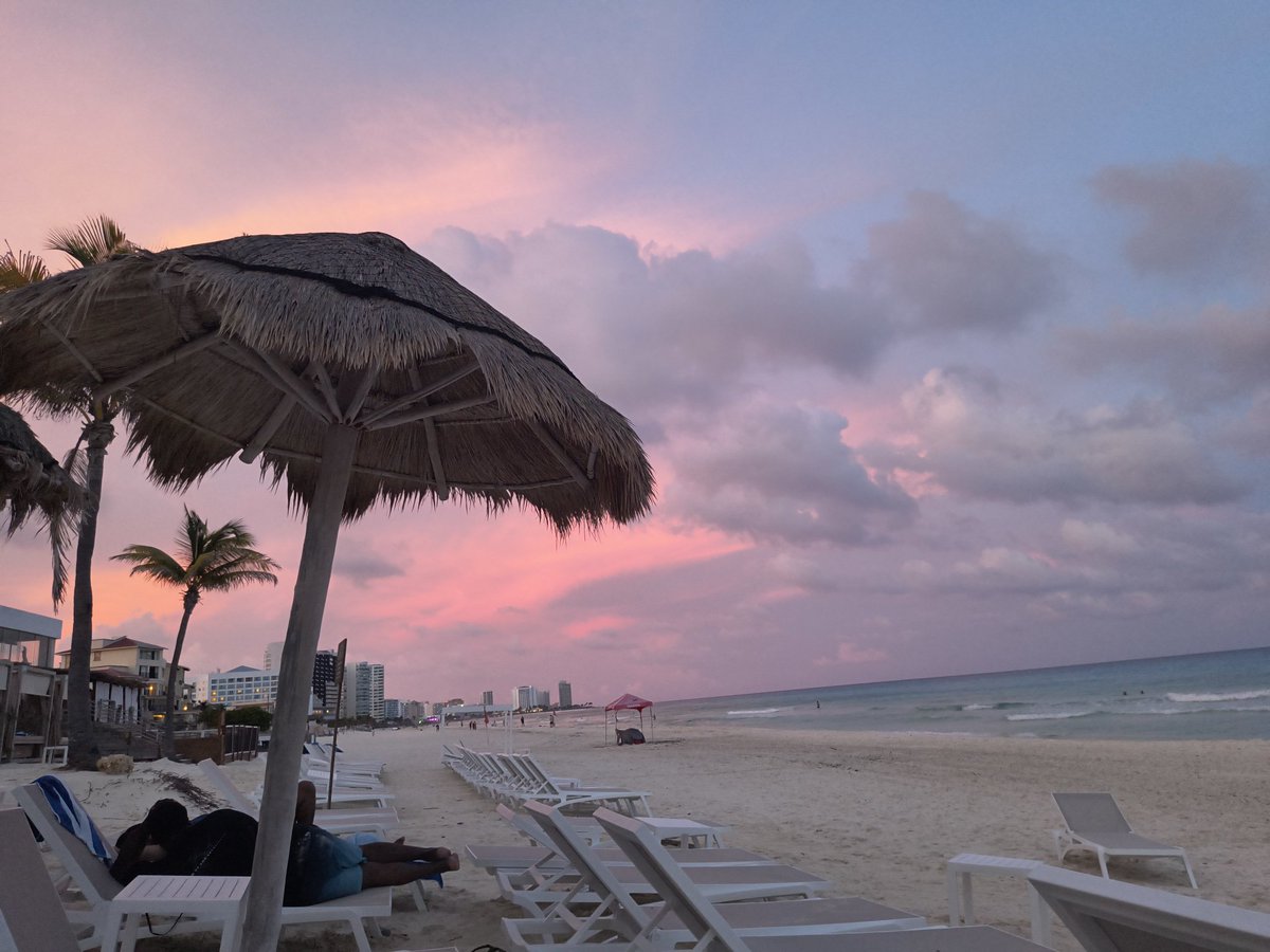 Satoshi Imborrable Nakamoto tweet media