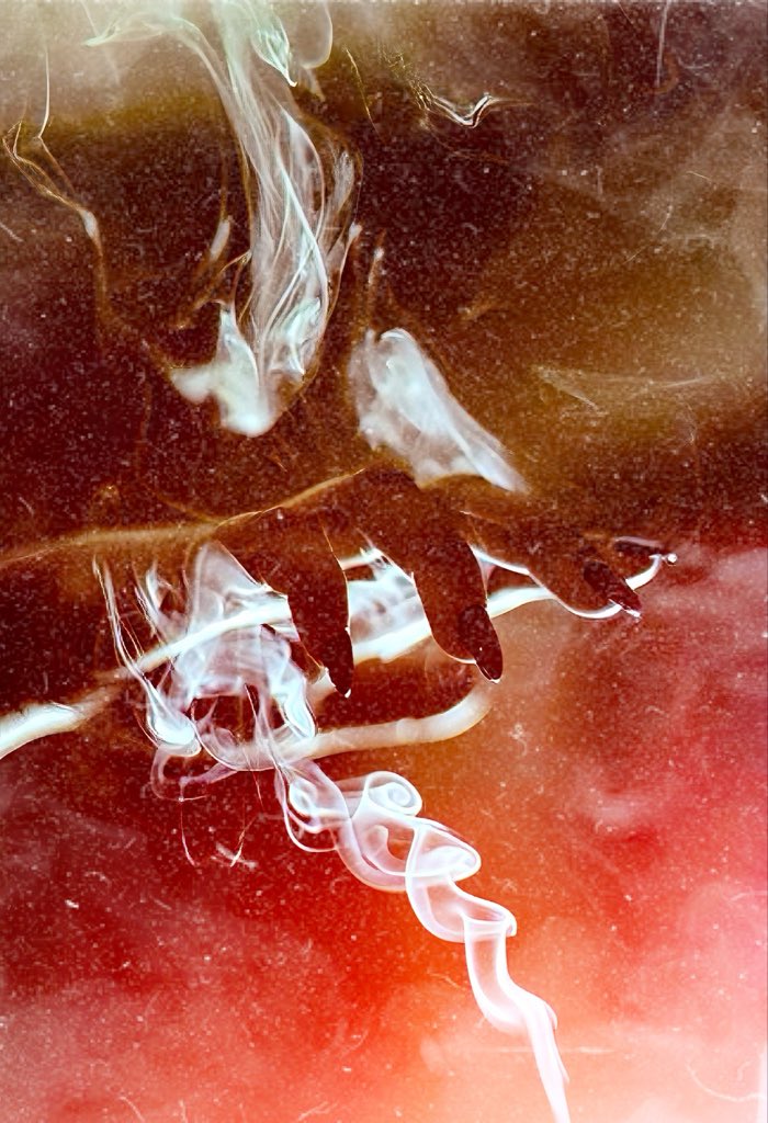 𝔐𝔬𝔯𝔟𝔦𝔡⛧𝔄𝔯𝔠𝔥𝔦𝔳𝔢𝔰 ᛗᛟᚱᛒᛁᛞ ᚨᚱᚲᚺᛁᚢᛖᛊ ꑭ (@morbidarchives) on Twitter photo 